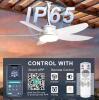 Phylluz 42" IP65 Outdoor Ceiling Fan White, LED Light, Remote/App, DC Motor, GLX131W-42D-CA - 3
