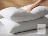 Three Geese King Size White Goose Feather Pillows, 2-Pack, Medium Firm, 20"x36", Cotton Cover