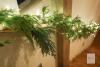 NEW MISSPIN 9ft Christmas Garland with LED Lights, Real Touch Norfolk Pine Garland, Green Artificial Greenery Garland for Table, Mantle, String Light, Wall, Indoor, Outdoor Christmas Decorations - 2