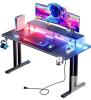 HLDIRECT 47-inch Gaming Desk with LED Lights, Carbon Fiber Surface, Riser Shelf, and Accessories