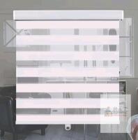 KELIXU Zebra Blind, White, 48"x72", Manual Roller
