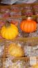 30-Piece Matte Pumpkin Hanging Ornament Set &ndash; Orange & Yellow - 2