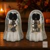 Dazzling Home Decor- Ghosts