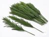 New 16 Pcs 18" Norfolk Pine Branch,Artificial Christmas Green Plants Branches Faux Greenery