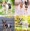 Dono Paw Print Washable Male Dog Belly Bands, Medium, 3 Pack, Leakproof, Adjustable Velcro - 2