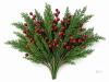 New MEMOVAN 45PCS Christmas Norfolk Pine Branches with Red Berry Stems Artificial Christmas Green Pine Stem Faux Cedar Pine Needles with Holly Berries Greenery Pine Picks Sprays for Vases Xmas Tree Wreath