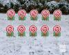 10-Piece Christmas Lollipop Yard Stake Decoration Set