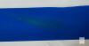 TONYINGO 5-20 FT Telescopic Pool Pole, Aluminum Alloy, 1.25" Diameter, Includes Allen Key - 3