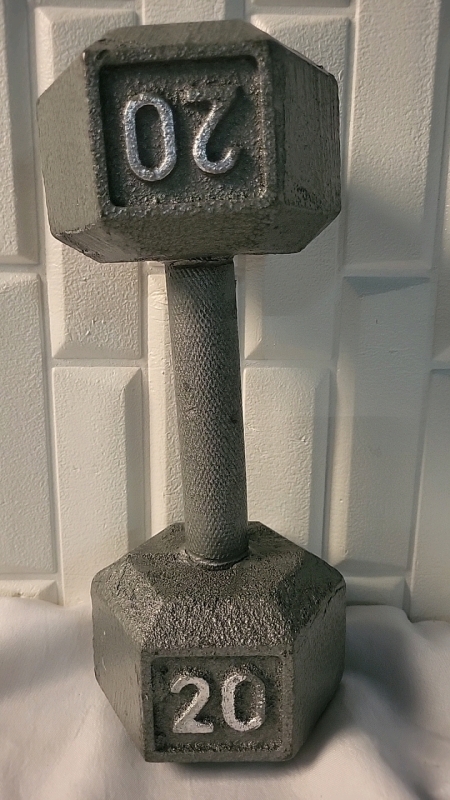 New 20lb Cast Iron Hex Dumbbell