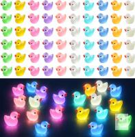 New Jetec 60 Pcs Tiny Duck Figures Glow in The Dark Mini Resin Duck Luminous Miniature Ducks Bead for Garden Landscape Aquarium Decoration(Luminous), KF-TG-TDY3