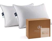 NEW Pacific Coast Classic Feather and Down Hotel Pillows, Standard Size, Set of 2
