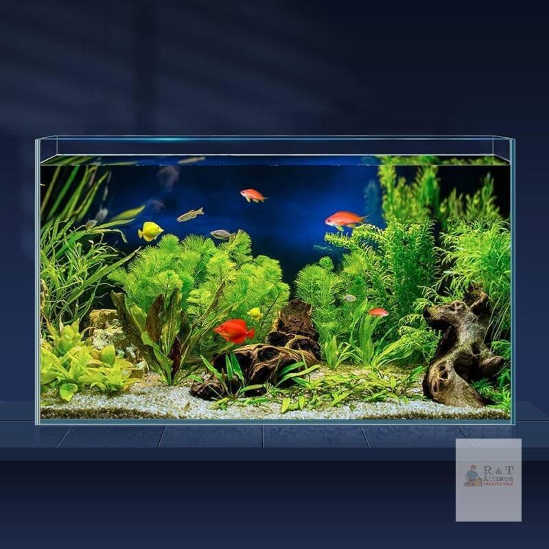 LAQUAL 10-Gallon Glass Aquarium Tank, 20x10.4x12in, Complete Accessory Kit,