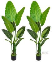 2 NEW Artificial Bird of Paradise 5.2ft Tall Potted Plant, PE Banana Leaves, Cement-Filled Pot