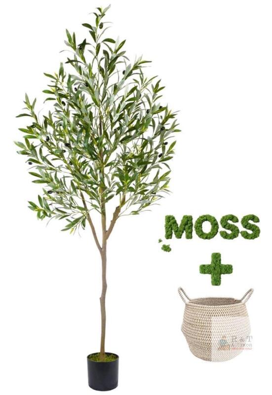 NEW Warmplants 6ft Artificial Olive Tree with Pot, Faux Moss, and Woven Basket Indoor Decor
