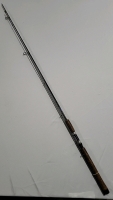 Wild River 10' Graphite Fishing Rod