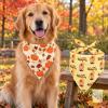 New SIZE XL Adorable Fall Realeaf Thanksgiving Dog Bandanas 2 Pack