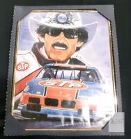 Framed Richard Petty STP Racing Print, 16" x 20", Multi-Color
