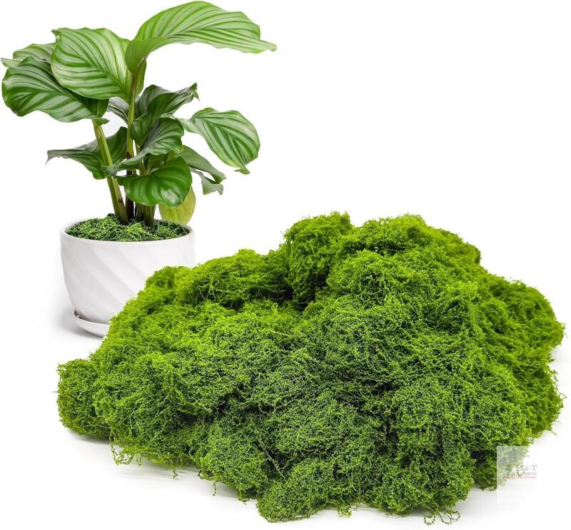 New Aspamms Fake Green Moss for Potted Plants Indoor, 5.3oz Artificial Moss