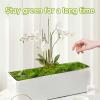 New Aspamms Fake Green Moss for Potted Plants Indoor, 5.3oz Artificial Moss - 2