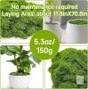 New Aspamms Fake Green Moss for Potted Plants Indoor, 5.3oz Artificial Moss - 3