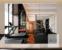 NEW Large Frameless Tempered Glass Gym Wall Mirror, 3 Panels, 56"x16" Each, 56"x48" Total, Silver