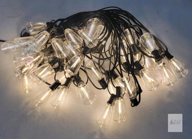 Outdoor Edison-Style LED String Lights, 30 Bulbs, 48ft, Warm White 2700K, IP65 Rated