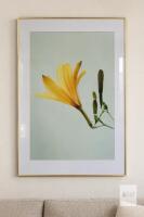 NEW Heimlove Metal Picture Frame 24"x36", Gold, Aluminum Alloy, X004DIMW2P, Mount Kit,
