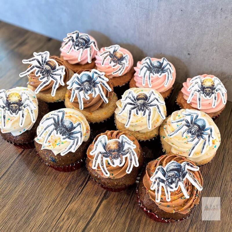 New Gyufise Sealed package 54Pcs Edible Halloween Spider Cupcake Toppers Wafer Paper Spider Cupcake Toppers Spitting Spider Dessert Picks for Halloween Theme Party Birthday Baby Shower Decor Supplies Brown