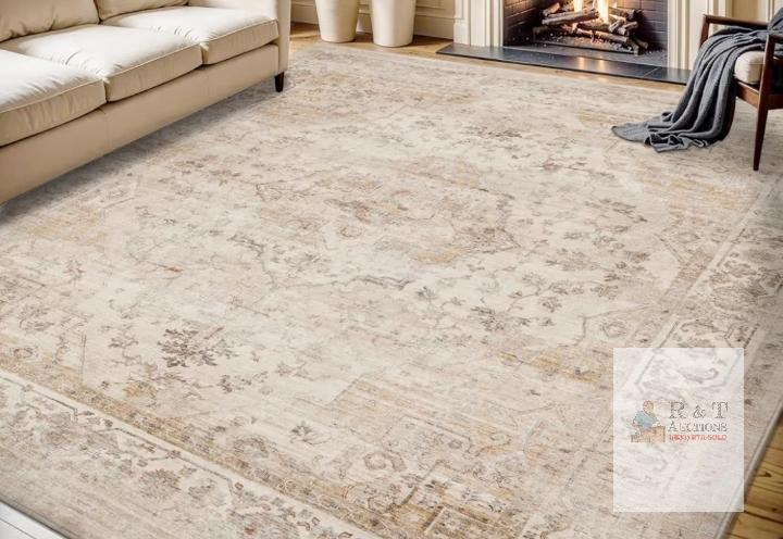NEW SSH-CA MOONLIGHT-CA 8x10 Beige Area Rug, Distressed Traditional Design, Polypropylene,
