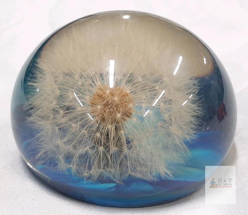 Resin Dandelion Paperweight, Clear Dome with Blue Base, Real Preserved Dandelion