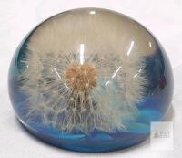 Resin Dandelion Paperweight, Clear Dome with Blue Base, Real Preserved Dandelion