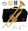 NEW Glory Bb Trumpet, Gold Finish, Stainless Steel Pistons, Includes Case and Accessories