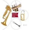 NEW Glory Bb Trumpet, Gold Finish, Stainless Steel Pistons, Includes Case and Accessories - 2