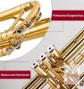 NEW Glory Bb Trumpet, Gold Finish, Stainless Steel Pistons, Includes Case and Accessories - 3