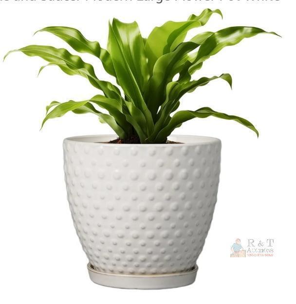 NEW G EPGardening 8" White Ceramic Plant Pot with Saucer, Drainage Hole, Weather Resistant, Indoor/Outdoor- NO PLANT