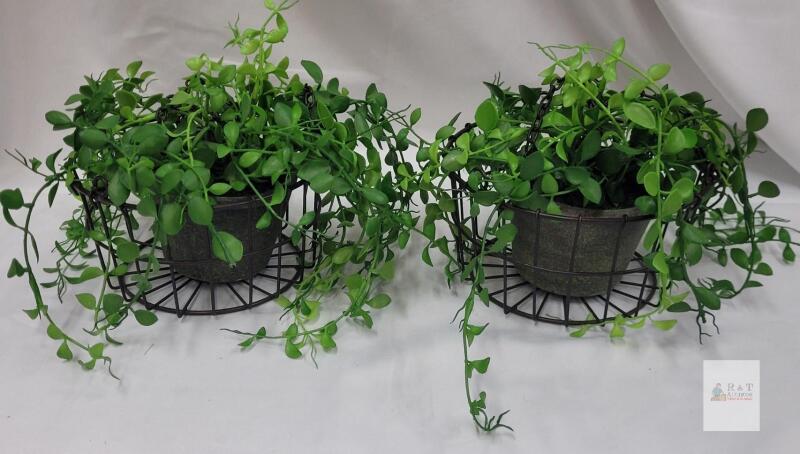 Set of 2 Artificial Hanging Plant, Faux Peperomia, Metal Chain, 10" Basket, Realistic Trailing Foliage