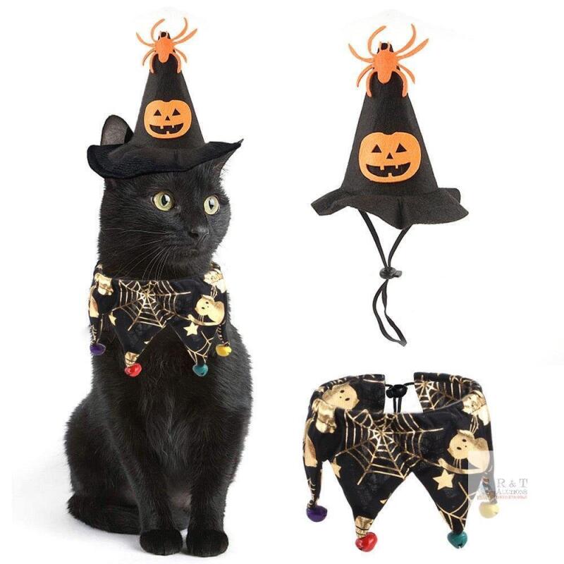New Halloween Pet Hat and Decorative Collar - Pets Villa Halloween Pet Hat and Decorative Collar - Pets Villa Halloween Pet Hat and Decorative Collar - Pets Villa Halloween Pet Hat and Decorative Collar - Pets Villa Halloween Pet Hat and Decorative Colla