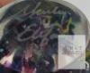 SIGNED Hand-Blown Art Glass Vase, 5 in, Multi-Color Inclusions, Signed Studio Piece - 5