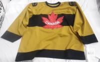Nike V-Series Winnipeg Falcons Team Canada Hockey Jersey, Large, Gold/Black/Red